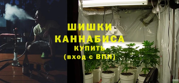 ПСИЛОЦИБИНОВЫЕ ГРИБЫ Аркадак